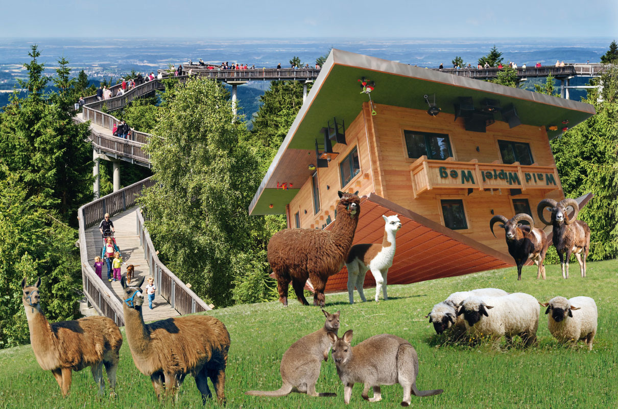 Waldwipfelweg Sankt Englmar Sattelbogen Feriendorf